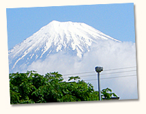 �t�����[�Y���猩����x�m�R